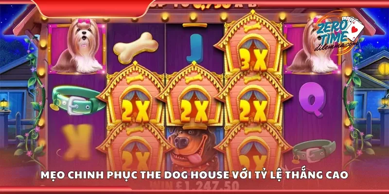 Mẹo chinh phục the dog house với tỷ lệ thắng cao